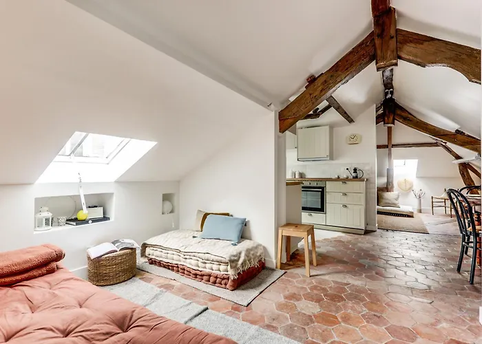 De Charme Sous Les Toits Apartment Paris